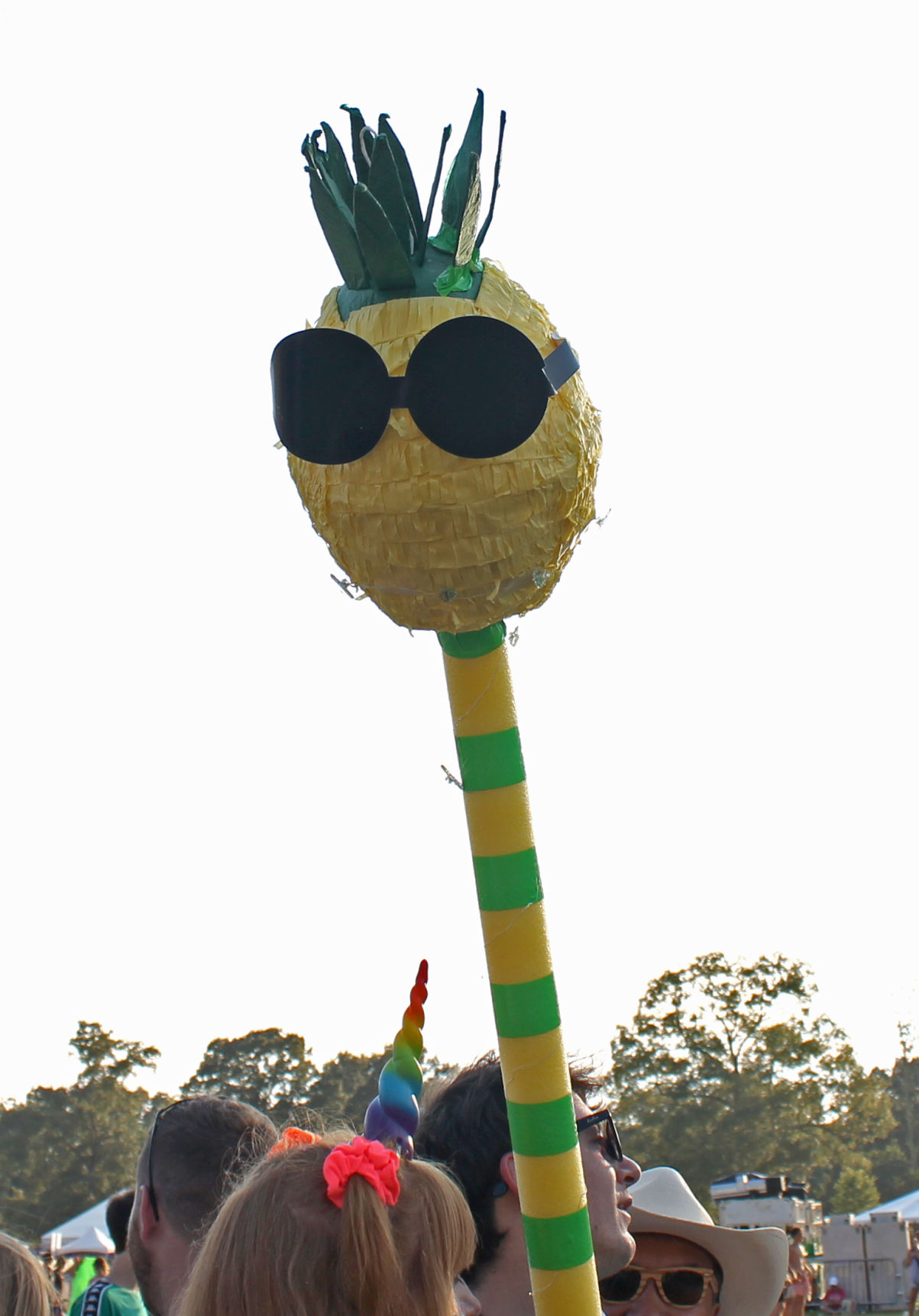 Bacchus the pineapple.jpg